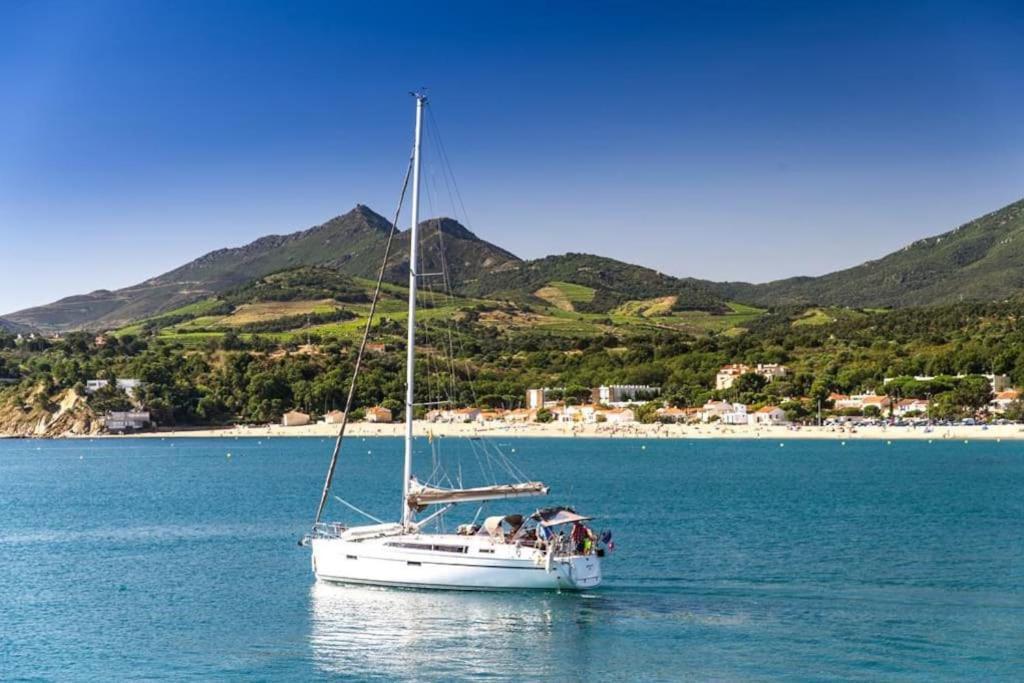 "Les Bambous" Studio Cosy Climatise Au Calme De 37 M2 Parking Gratuit A Argeles Sur Mer 外观 照片
